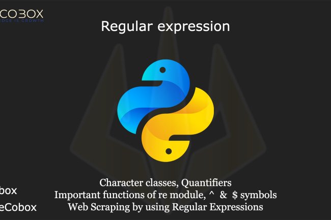 Regular Expression | Reg-Ex | Notes by DurgaSoft | #Python #Durgasoft #reg-ex